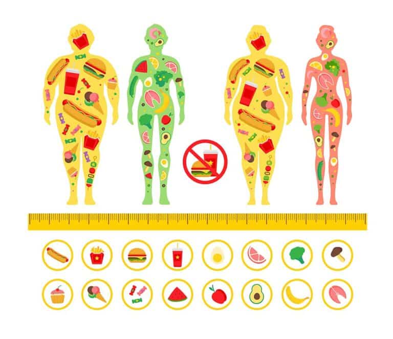 Unveiling the Intricacies of Endocrinology and Metabolism Functions