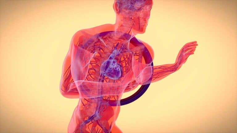 Cracking the Code: Endocrine Glands and Their Role in Your Body