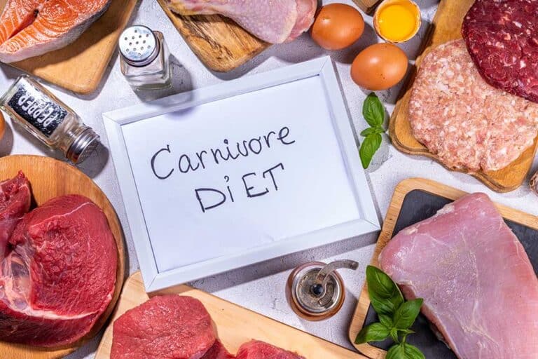 Breaking Down the Basics: Carnivore Diet Meal Plan Essentials